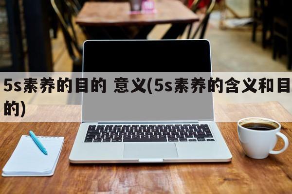 5s素养的目的 意义(5s素养的含义和目的)