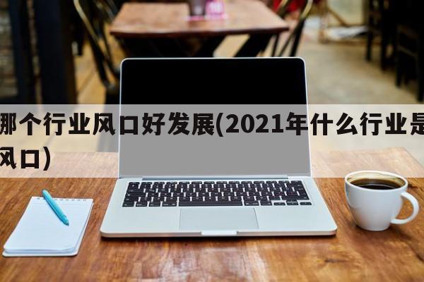 哪个行业风口好发展(2021年什么行业是风口)