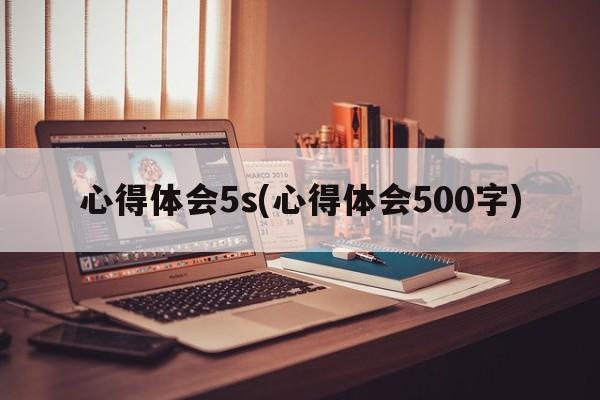 心得体会5s(心得体会500字)